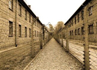 Jak wyglądał typowy dzień w Auschwitz?