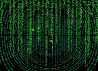 Czy nazwa firmy jest wolna?