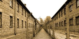 Kto napisał U nas w Auschwitz?